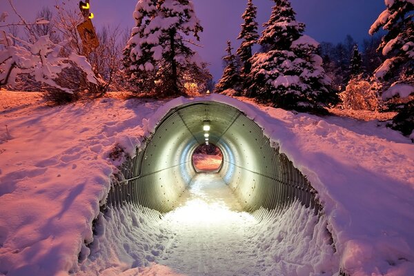 Entrance to the secret house underground in the winter forest