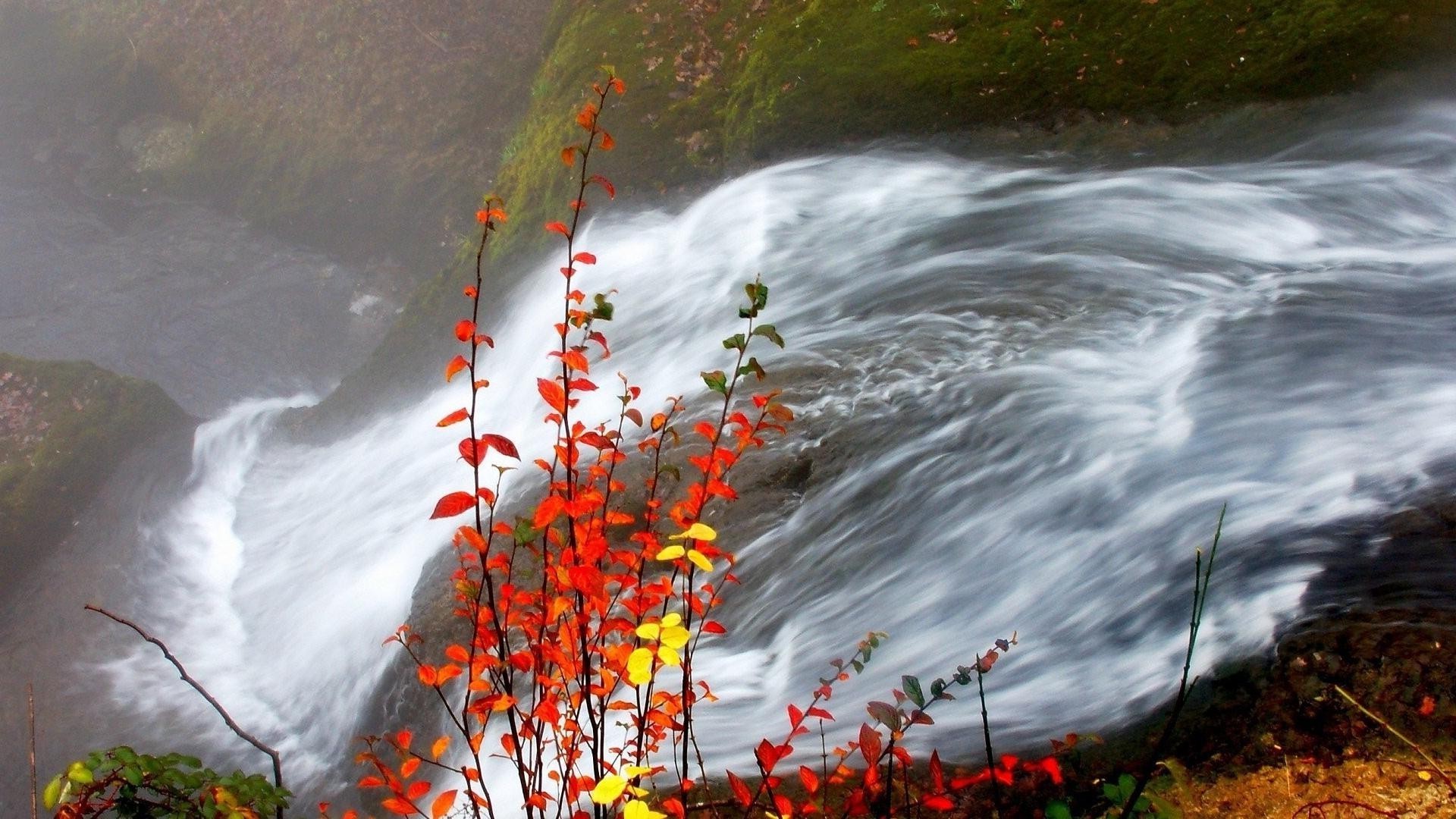 cascades eau nature automne rivière à l extérieur paysage cascade ruisseau feuille voyage arbre splash