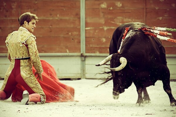 In the bullfighter arena with a bull