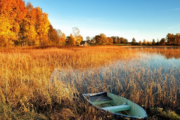 Landschaft der Natur im Herbst im Freien