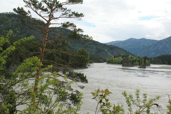 Frühlingslandschaft. Berge und Wasser