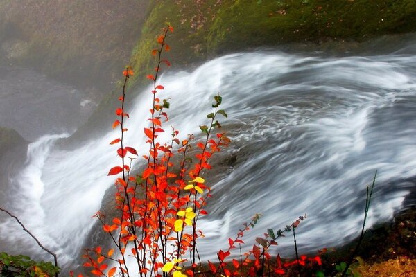 The flow of the river at the waterfall in autumn