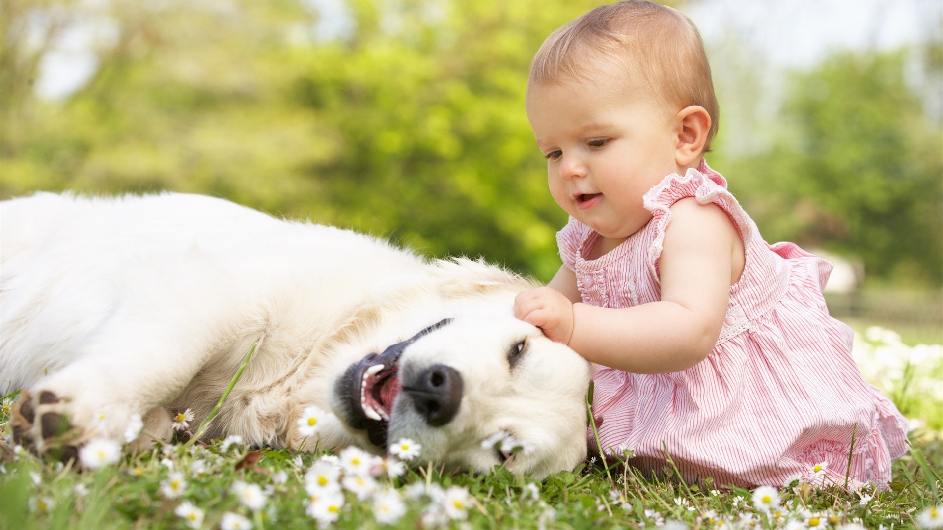 crianças com animais bonito pequeno grama natureza bebê bebê verão ao ar livre parque diversão amor