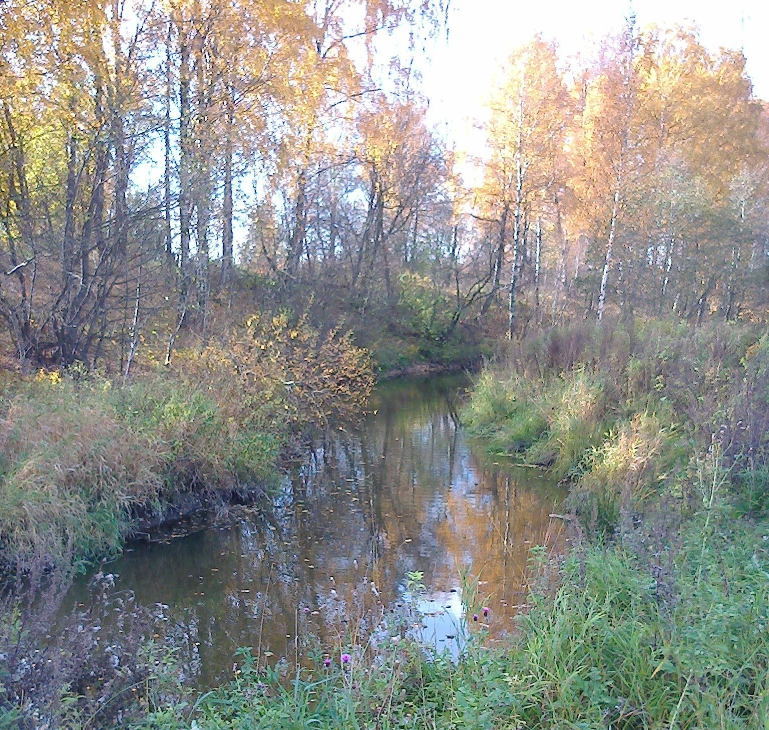 річки ставки і струмки ставків і струмків природа пейзаж деревини осінь води дерево річка на відкритому повітрі лист парк середовища мальовничий відображення потік сезон гарну погоду подорожі озеро дикий