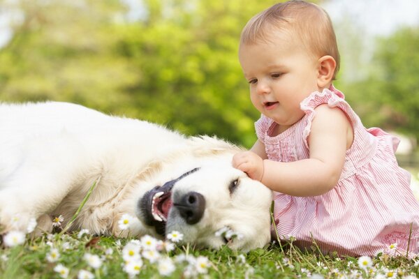 Niños jugando con animales en la hierba