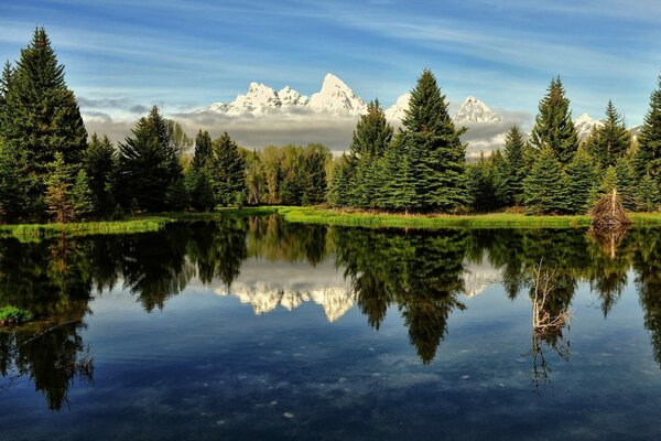 Forêt se reflétant dans le lac sur fond de montagnes