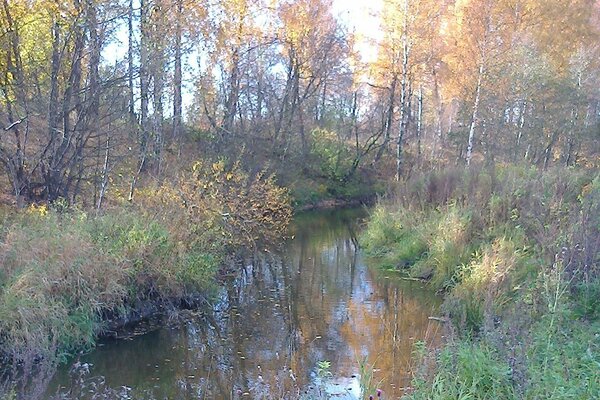 Ein Fluss mitten im Herbstwald