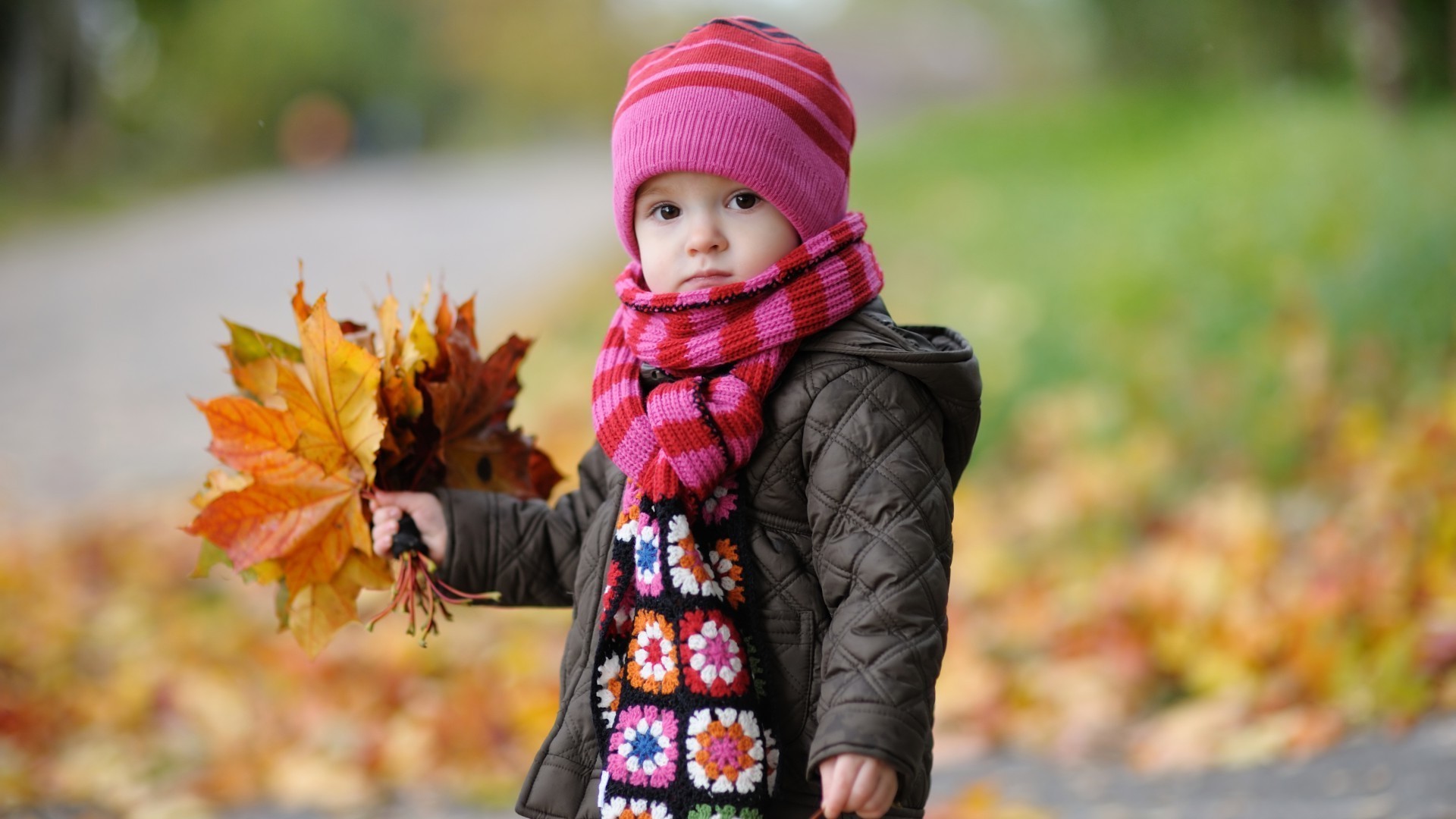 enfants en plein air automne enfant en plein air nature parc peu mignon plaisir érable enfant loisirs joie écharpe