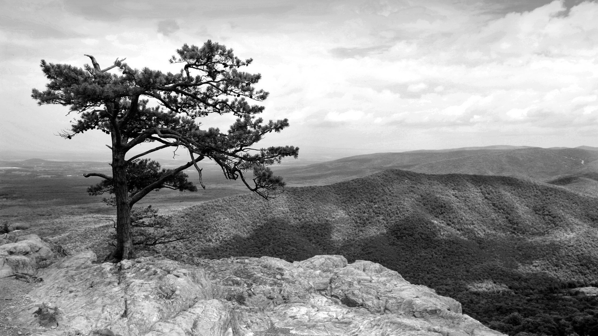 landscapes landscape tree nature outdoors sky mountain scenic travel hill