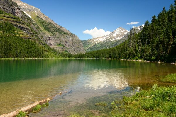 Landscape of the lake surrounded by mountains and forest