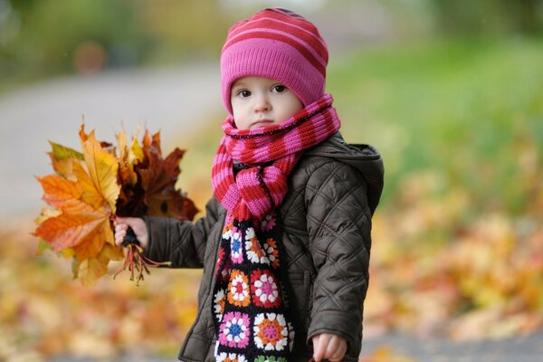 Autumn baby leaves nature