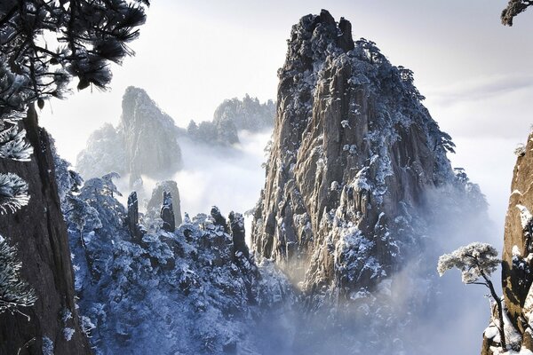 Montañas y bosques de invierno que llaman a los viajes