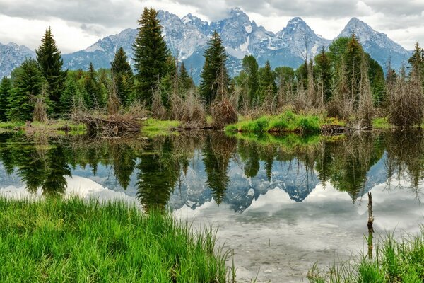 Die Landschaft des Sees mit der Reflexion des hohen Waldes und der Berge