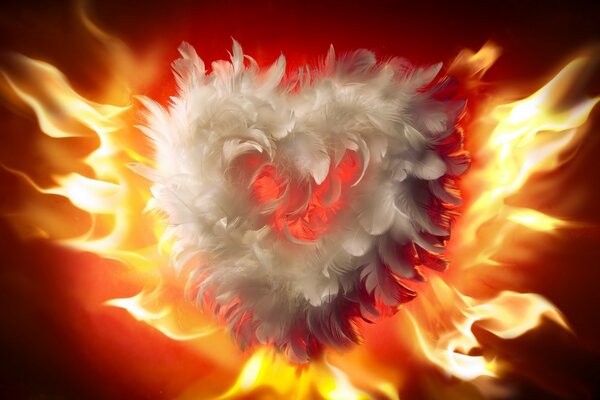 Heart of feathers on the background of fire