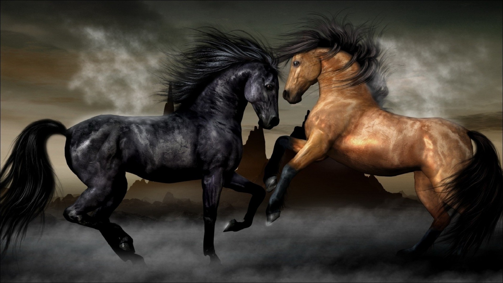 лошади конница маре лошадь млекопитающее жеребец мане конный животное коневодство мустанг пони один сидит два скоко действие
