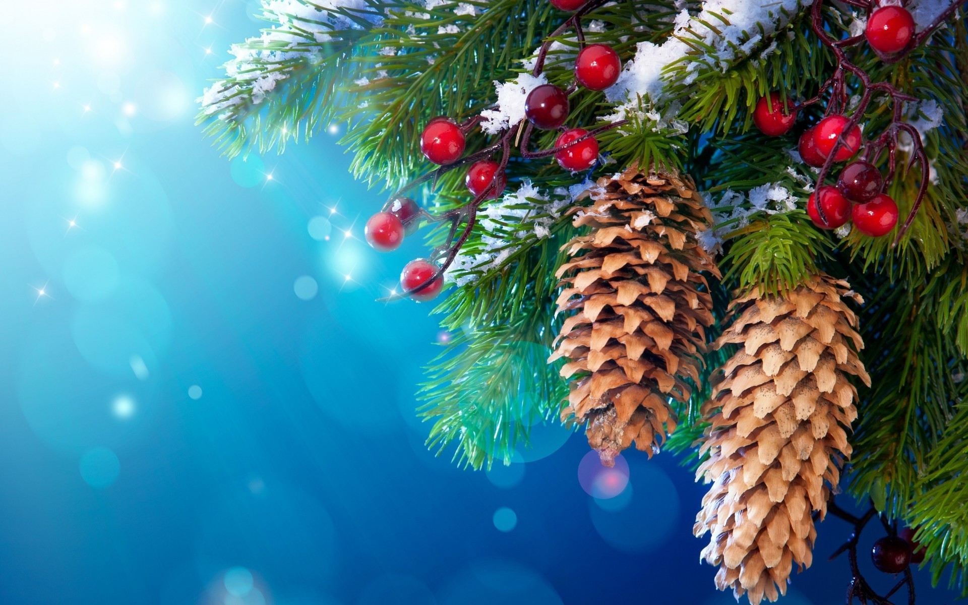 новый год рождество зима сосна украшения пихта дерево праздник ели мяч сезон эвергрин конусная светит филиал мерри хвойные отпуск