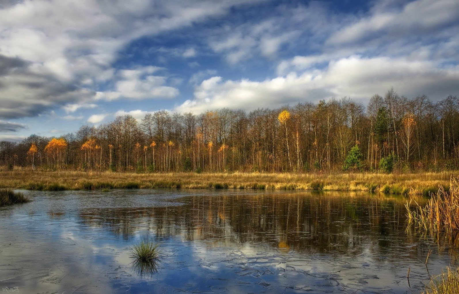 rzeki stawy i strumienie stawy i strumienie jesień krajobraz odbicie jezioro natura woda świt drzewo drewno rzeka na zewnątrz zachód słońca niebo liść wieczorem basen mgła chłód dobra pogoda