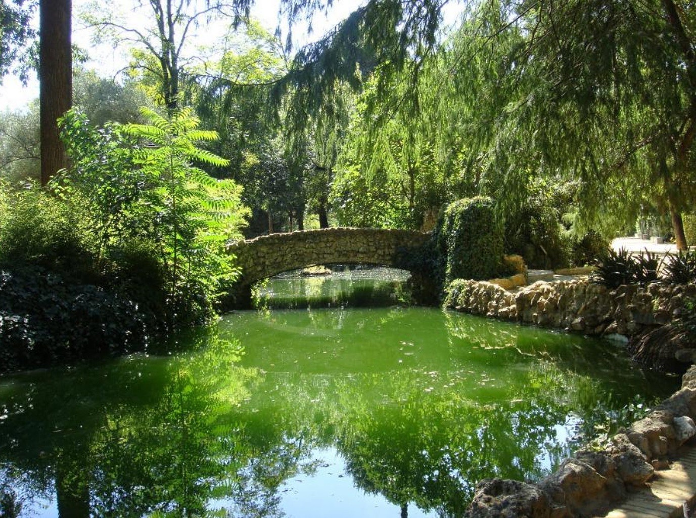 ciudad y arquitectura agua naturaleza árbol parque río verano piscina paisaje al aire libre jardín viajes hoja madera reflexión lago medio ambiente flora hierba escénico