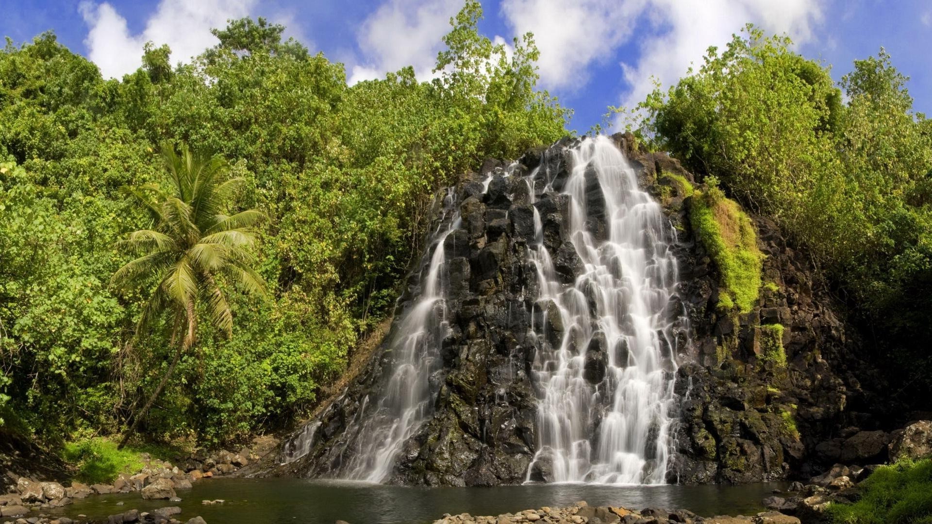 cascades eau cascade nature rivière voyage bois flux rock à l extérieur paysage feuille tropical été arbre sauvage cascade montagnes scénique parc