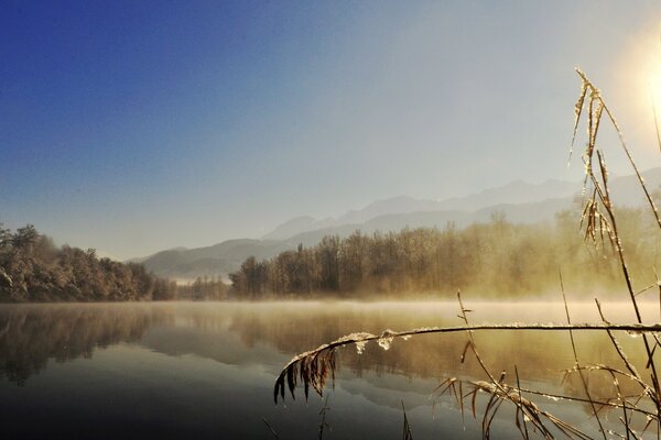 Winter dawn on the lake