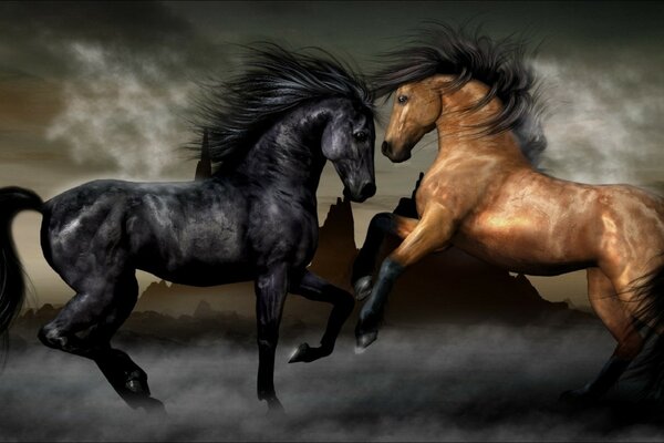 The battle of the black and which horse