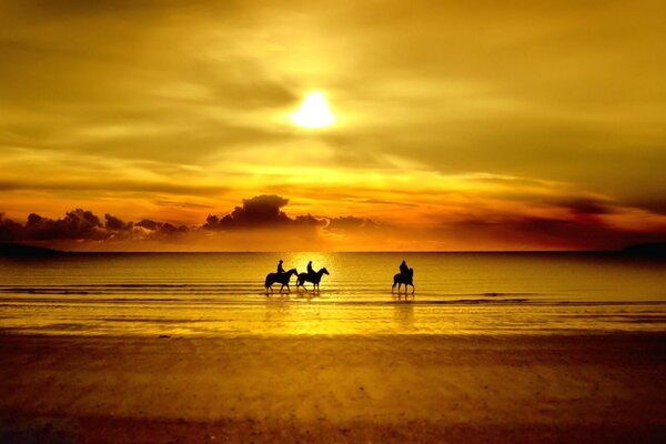 Faszinierender Blick auf den Strand vor dem Hintergrund eines wunderschönen Sonnenuntergangs 