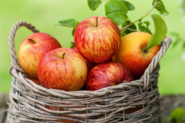 Liquid apples in a wicker basket