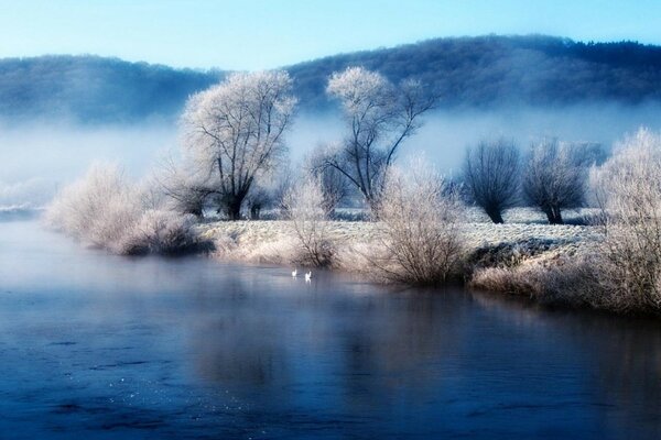 Paisaje invernal: estanques, arroyos y árboles