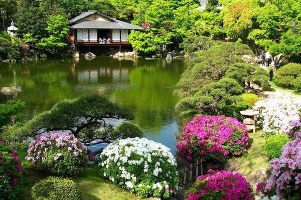 Lindo jardim de flores junto à água