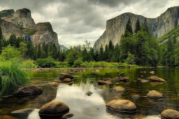 Estanque en las montañas y bosque verde