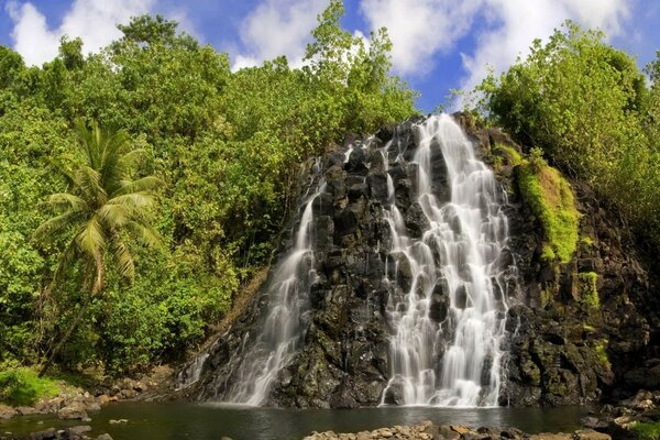 Cascade tropicale majestueuse dans la jungle