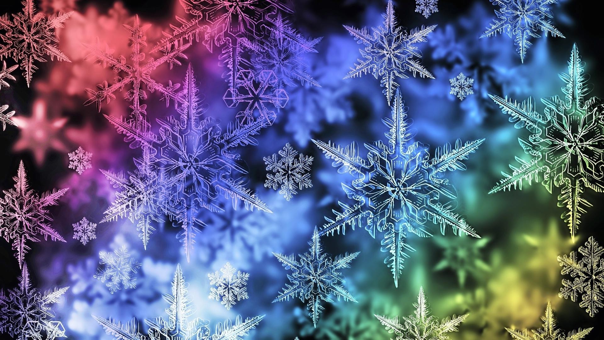 astrazione gelo natale stagione inverno decorazione fiocco di neve natura fiore desktop neve luminoso colore floreale vacanza bella