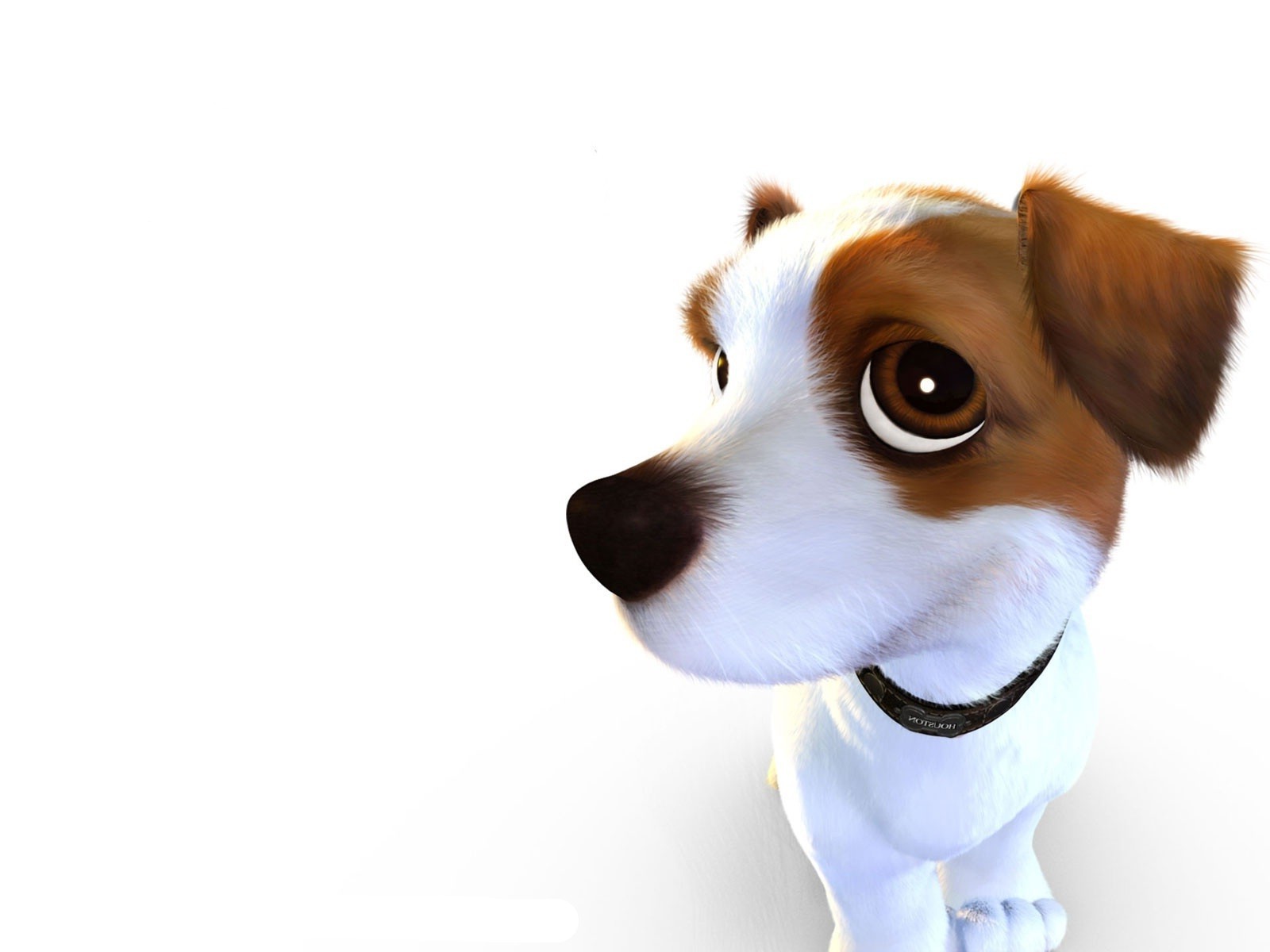 dibujos animados perro lindo divertido mascota animal cachorro perro pequeño terrier aislado mamífero ver retrato joven adorable estudio sentarse pelaje humor