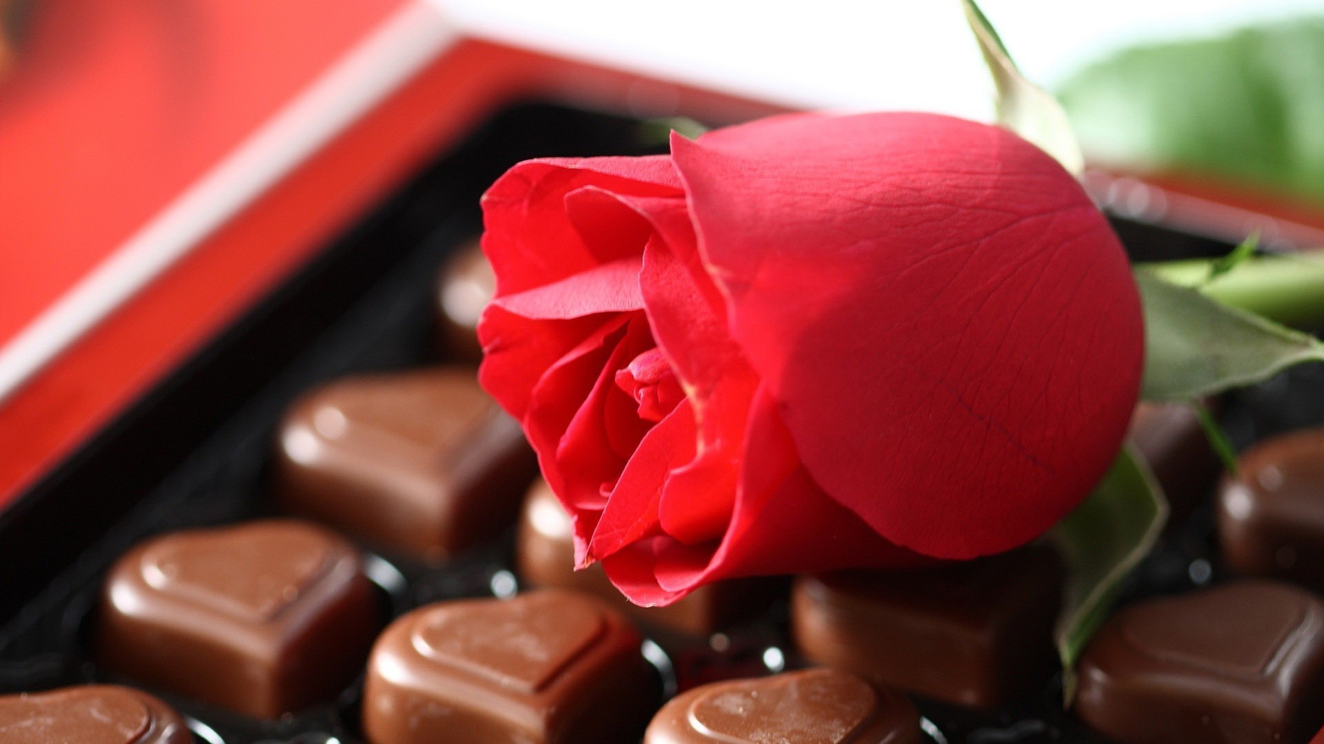 chocolat romance amour bonbons cadeau rose romantique confiserie mariage repas coeur nature morte fleur noël vacances sucre