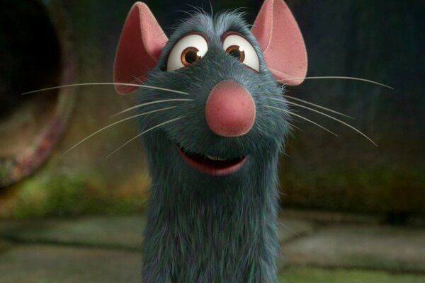 Ratatouille. Rat Remy