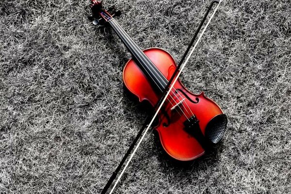 Red violin on a black and white background