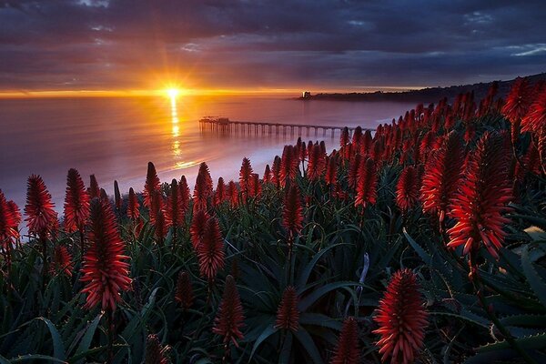 Paisagens noturnas e diurnas: Pôr do sol e amanhecer