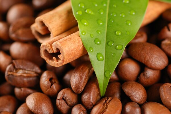 Cinnamon roasted coffee and bay leaf