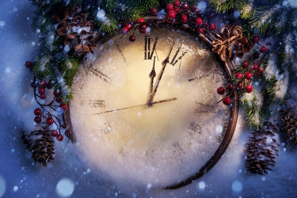 Coni e bacche di Capodanno per le vacanze