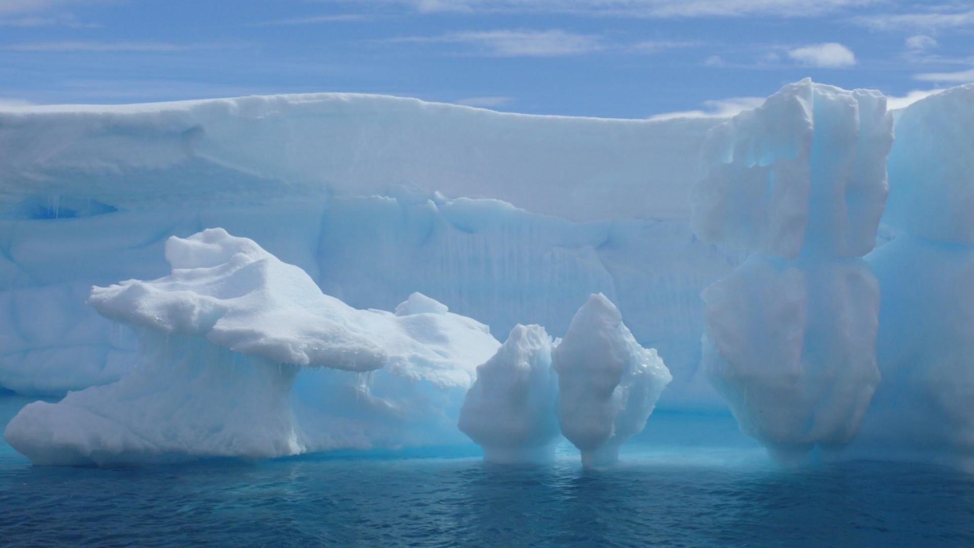 mar y océano iceberg hielo fusión escarchado glaciar nieve natación agua frío invierno calentamiento global cambio climático groenlandia naturaleza congelado al aire libre antártida escarcha becerro