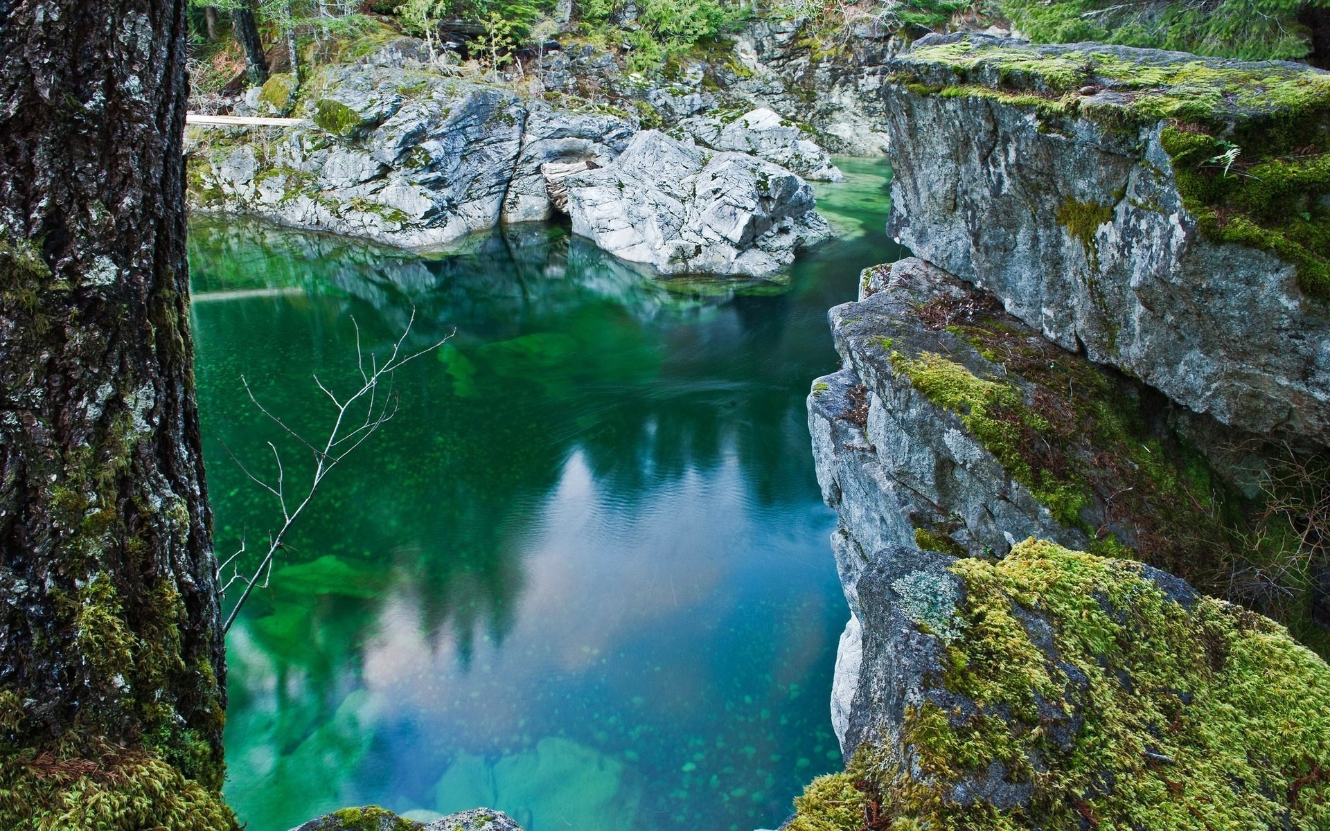 lago acqua natura fiume roccia cascata paesaggio all aperto legno viaggio pietra albero muschio foglia flusso montagna estate parco autunno bagnato