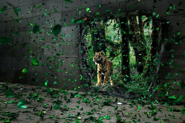 Un tigre en el verde que vuela a su alrededor