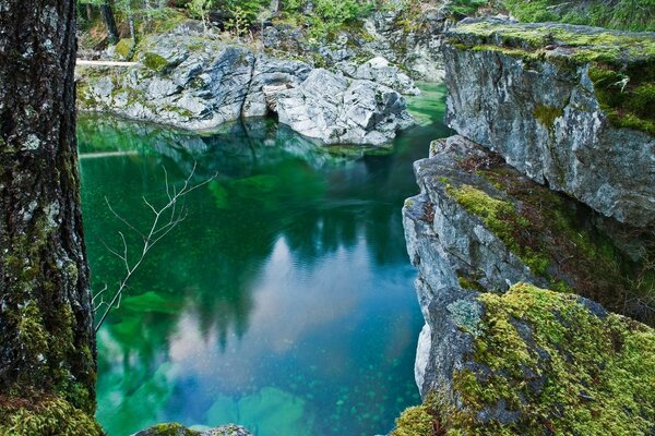 Die Rätsel der Natur der köstlichen Aktion