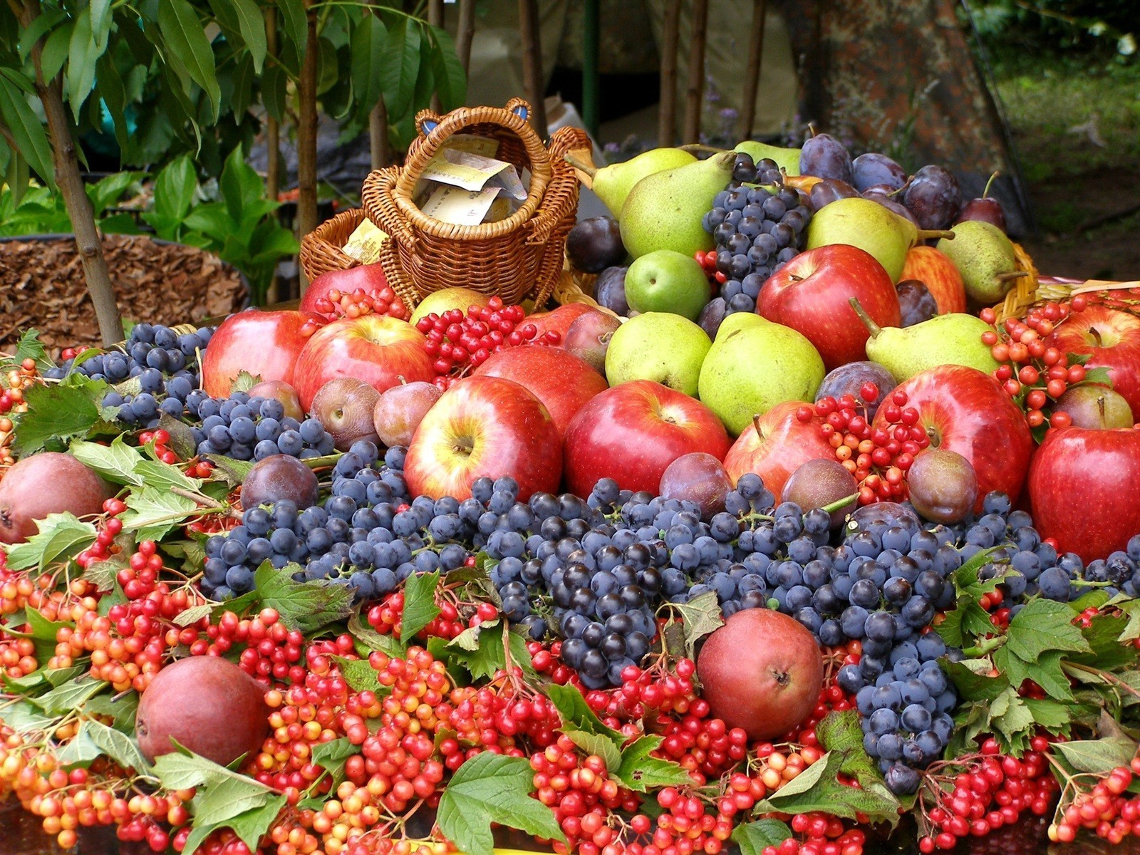 fruits grandir alimentaire marché agriculture pâturage juteux abondance baie pomme en bonne santé confiserie automne feuille jardin panier nature