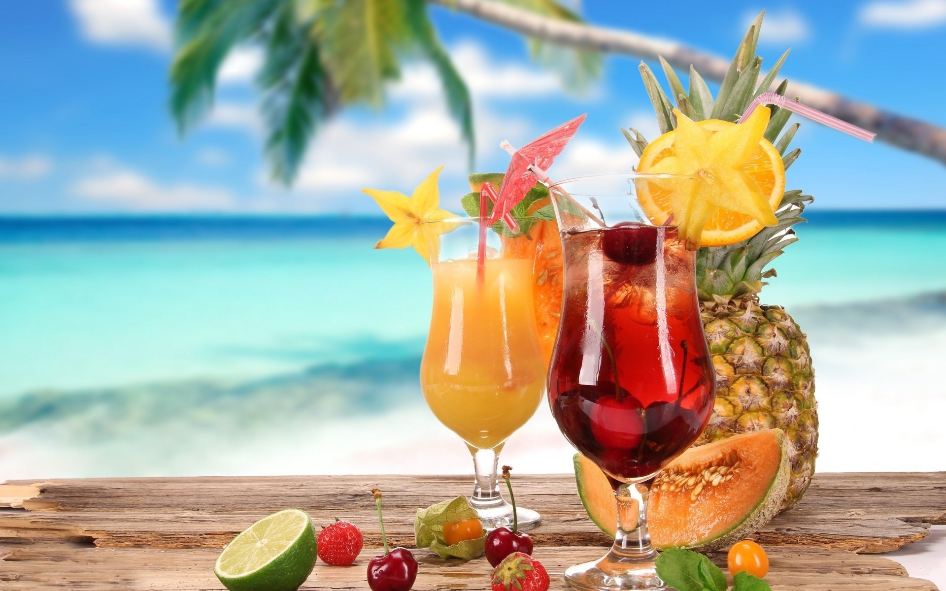 bebidas tropical verão férias exóticas natureza frutas praia comida suco