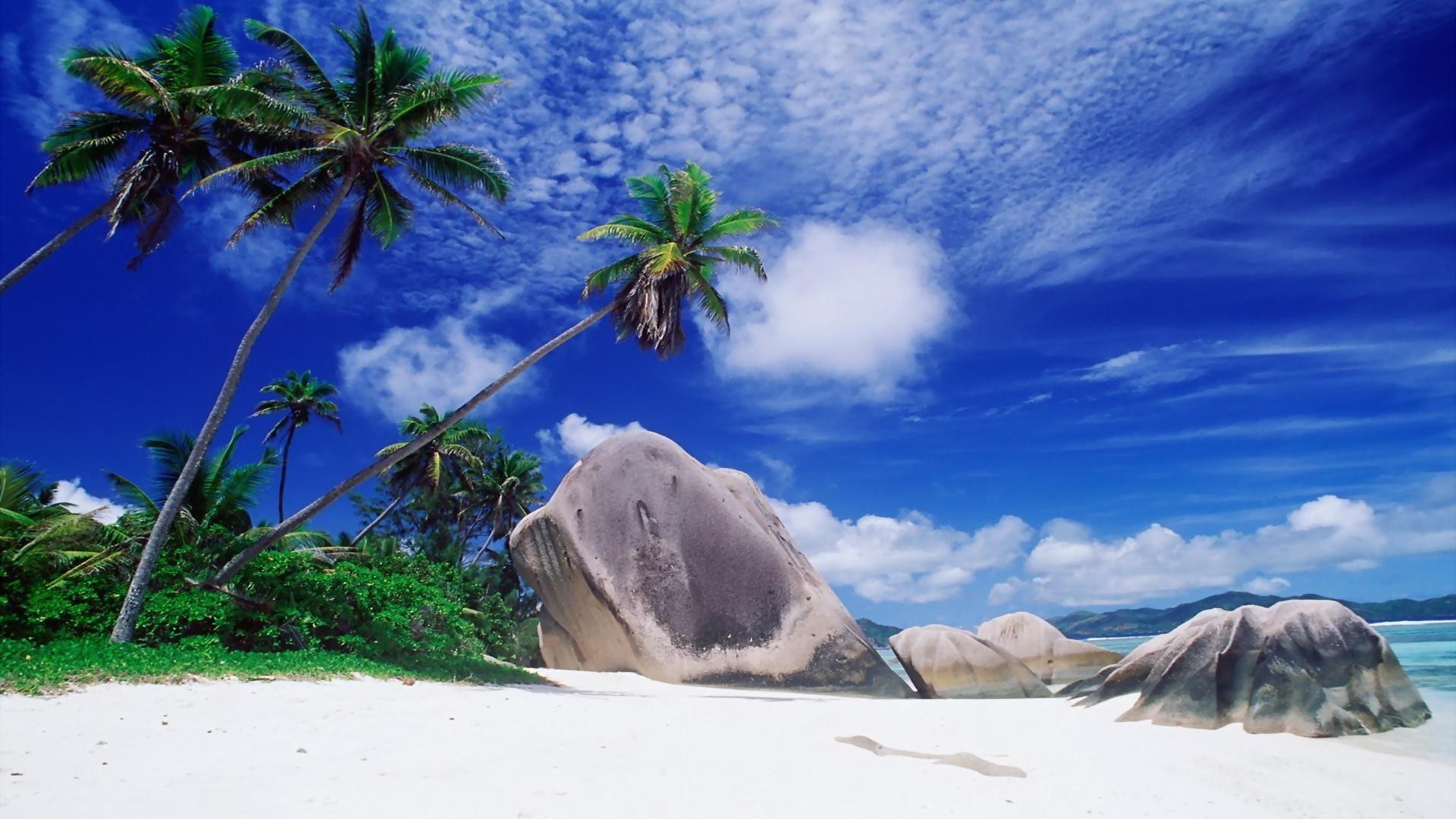 palmiers et tropiques mer plage océan voyage île eau vacances sable ciel tropical station balnéaire mer arbre idylle paysage nature pittoresque paysage paradis