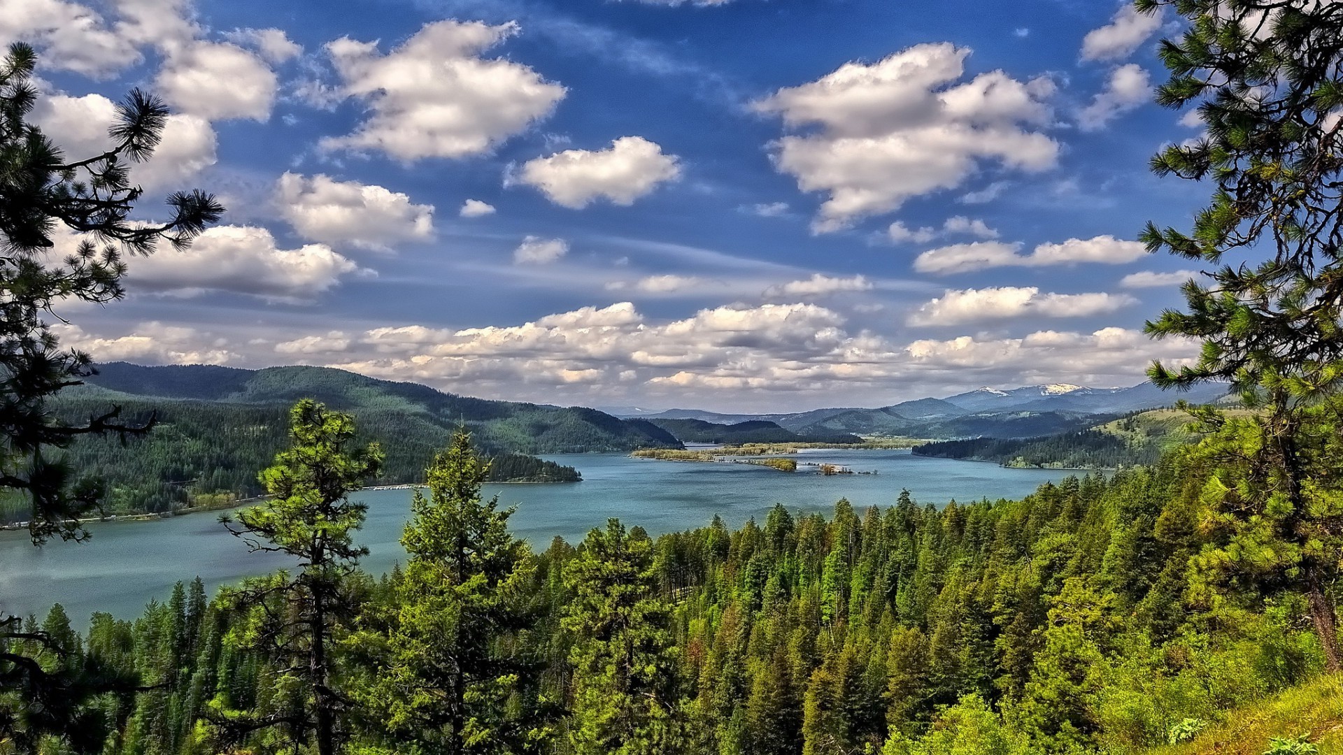 fiumi stagni e torrenti stagni e torrenti acqua natura all aperto paesaggio viaggi cielo albero lago legno estate scenico luce del giorno montagna conifere bel tempo