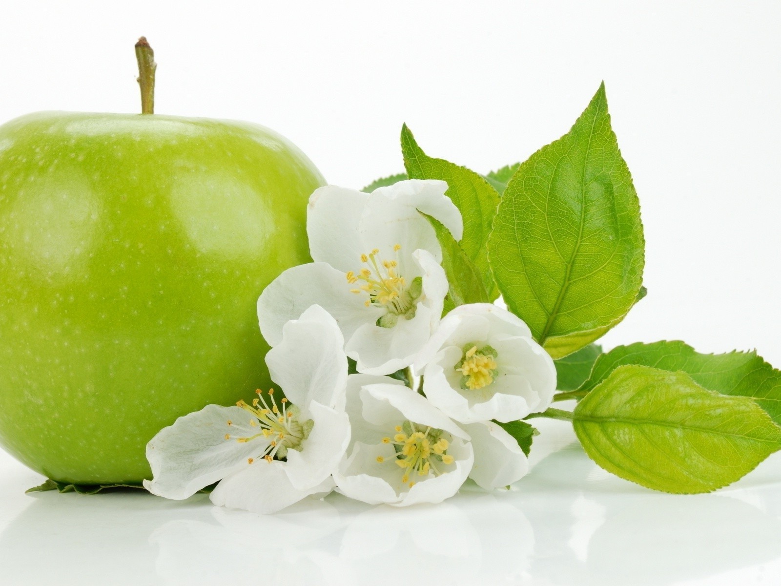 Поиск обоев яблоко свежесть зелень в разделе все категории.