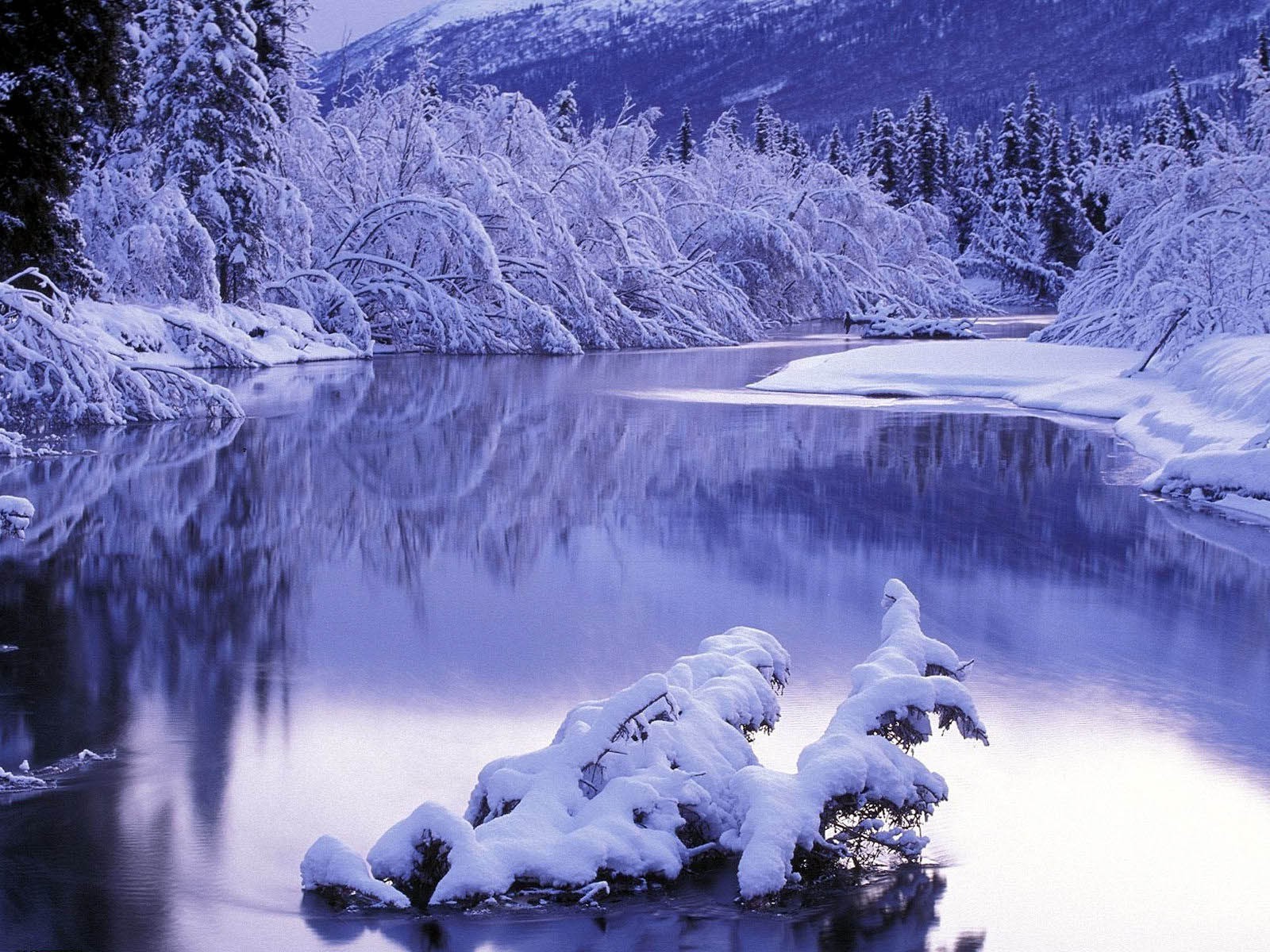 winter schnee kälte holz eis frost wasser landschaft landschaftlich im freien natur gefroren berge baum reisen gutes wetter