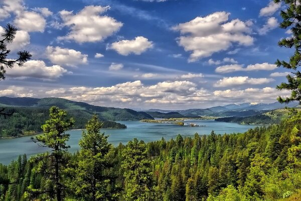 Hermoso paisaje con bosque y lago